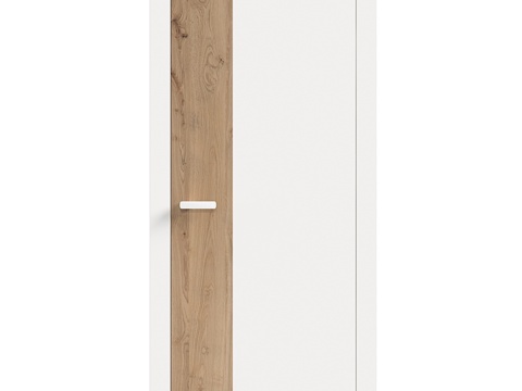  达里亚诺工厂Combi 1系列室内门3d模型 