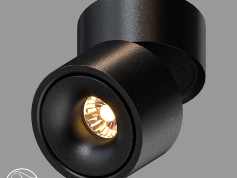  LampsShop.ru M076 CercN 筒灯3d模型 