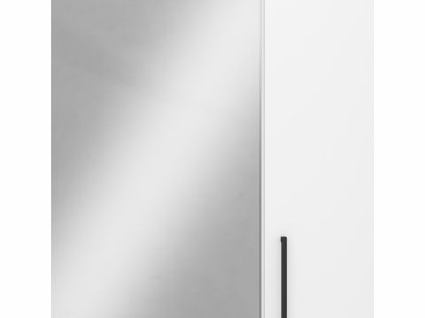  OM 镜柜 DIWO 布良斯克 60 通用款，白色3d模型 