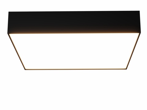  Citilux Tao CL712X24X 带调光功能LED3d模型 