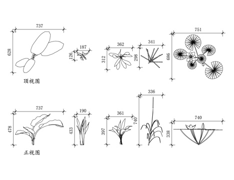  水草 水培植物 水生绿植 水中植物 湿地植物cad施工图 