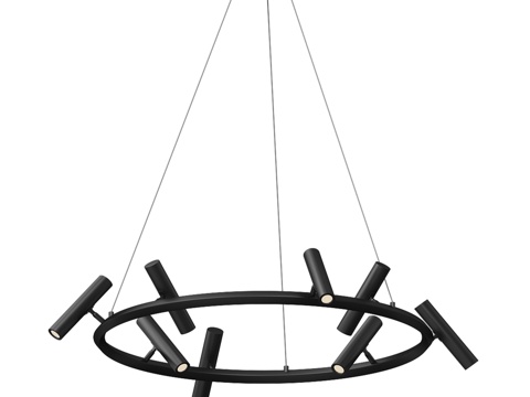  Veronia黑水晶吊灯 07613-8A,193d模型 