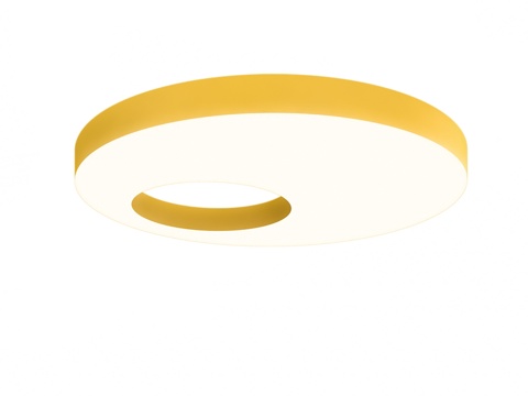  OM 天花灯 LC RINWID Light City™3d模型 