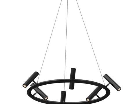  Veronia 黑色枝形吊灯 07613-6A,193d模型 