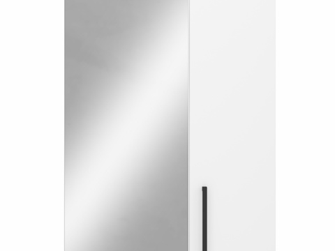  OM镜柜 柜 DIWO 布良斯克 50 通用款，白色3d模型 