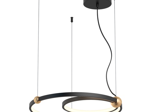  吊灯 精选 4569-1P3d模型 