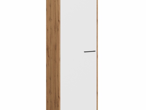  OM衣柜DIWO科斯特罗马带衣架 60x180x42厘米3d模型 