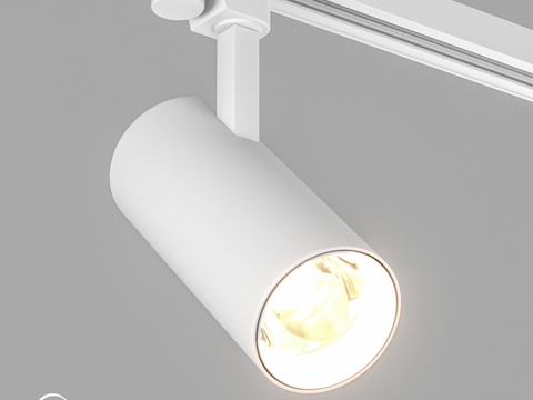  OM灯具 LGD-GERA-2TR-R74-20W3d模型 