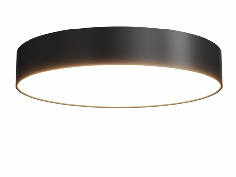  Citilux Tao CL71224x 带调光功能LED吸3d模型 