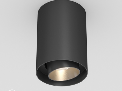  OM灯具 SP-FOCUS-R86-10W3d模型 