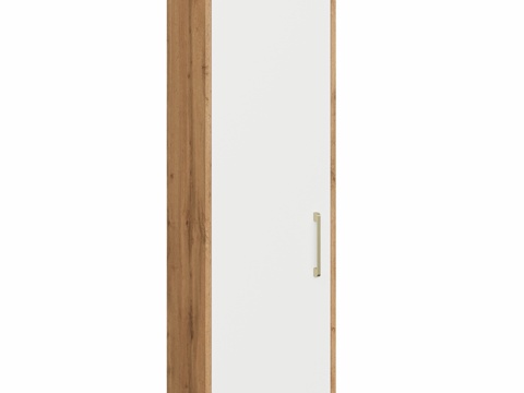  OM衣柜DIWO科斯特罗马40x135壁挂式白色款3d模型 