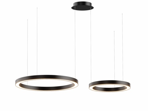 LED吊灯Corona水平环形403d模型