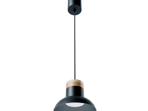  收藏吊灯 4516-1P3d模型 