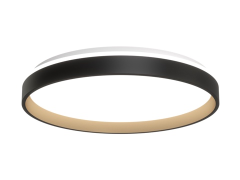  Citilux ENZO CL75351X 带遥控器的LED3d模型 