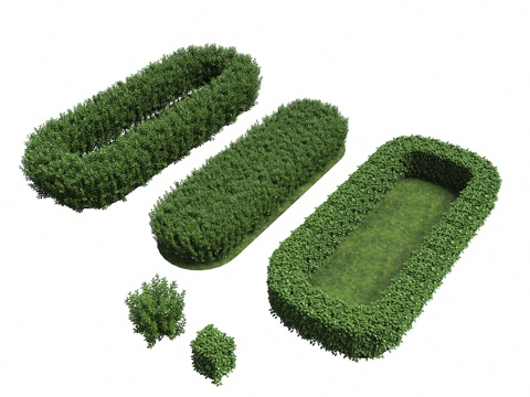  植物 灌木 植物堆 灌木丛 绿化带植物 整形植物3d模型 
