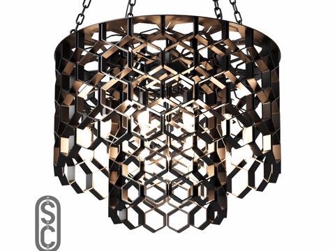  SINGULARIS Singularis Craft3d模型 