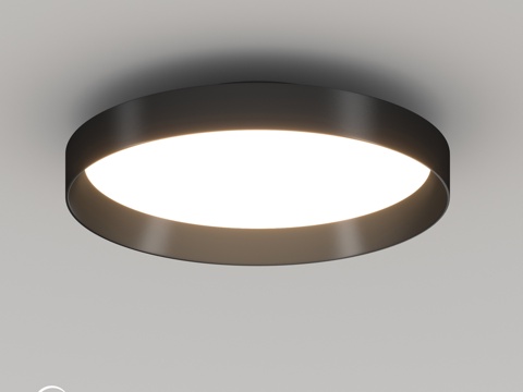  OM灯 SP-ESTELY -R350-30W3d模型 