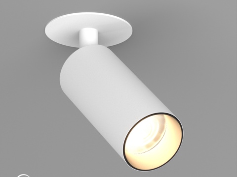  OM灯具 SP-GABI-嵌入式-翻盖-R50-9W3d模型 