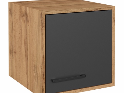  OM柜组DIWO科斯特罗马壁挂式40x403d模型 