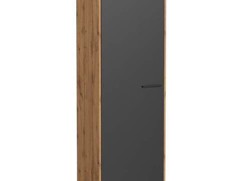  OM 衣柜 DIWO Kostroma 带衣架 80x1603d模型 