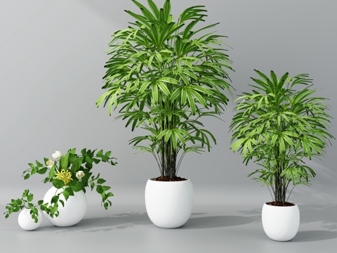  北欧盆栽绿植 现代绿植3d模型 