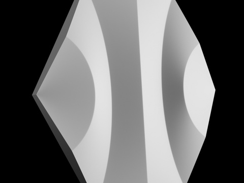  Florida 3D石膏板3d模型 