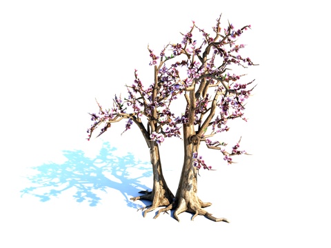  树 桃树 景观树 园林树 植物3d模型 