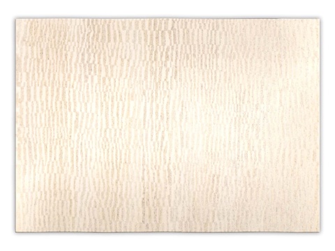  来自 ANSY 的地毯（编号 4520）3d模型 