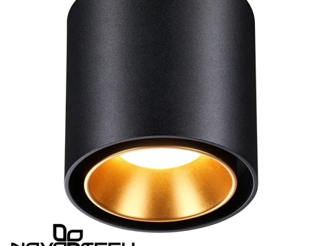  吸顶灯 Novotech 358485, 358486 过时3d模型 