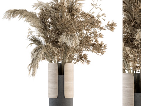  干花 48 - 干花花束3d模型 