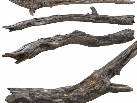  原木，旧漂流木3d模型 