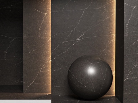  7985 尼斯黑3d模型 