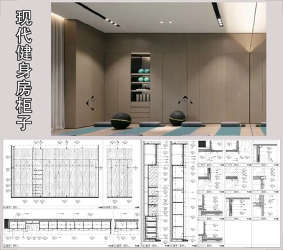 定制柜 柜子节点 现代健身房柜子 储物柜cad施工图