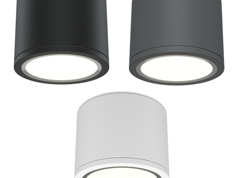  Rendo天花灯3d模型 