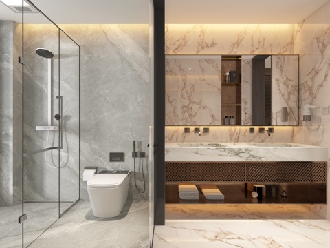  轻奢卫生间 浴室柜 马桶 暗装花洒 淋浴房 卫浴小件3d模型 