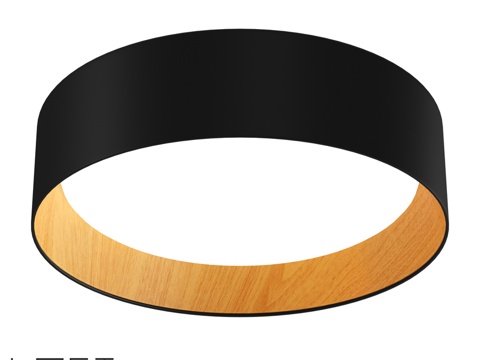  LoftDesigne 8040型号吊灯3d模型 