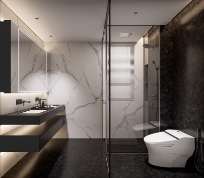 卫生间 干湿分离 三分离 卫浴 洁具su模型