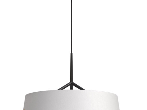  Divinare OM 1029 06 SP-103d模型 