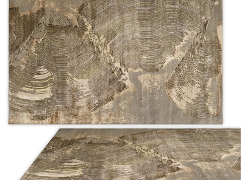  来自 ANSY 的地毯（编号 3815）3d模型 