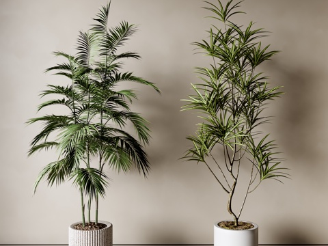  现代植物盆栽3d模型 