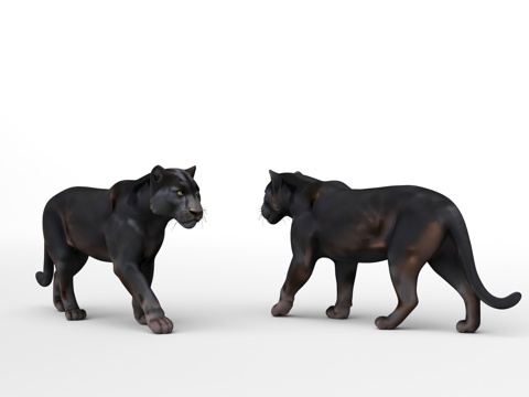 黑豹漫步3d模型 