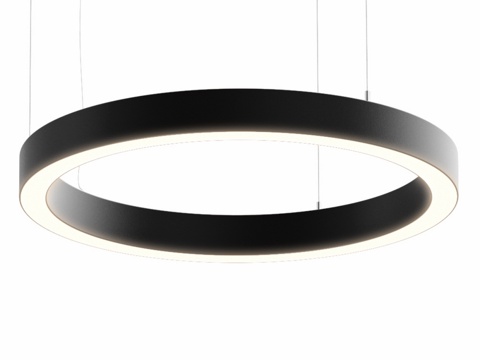  LED环形吊灯50x80mm3d模型 