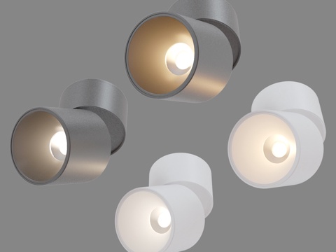  OM LED吸顶灯 Elektrostandard 25113d模型 