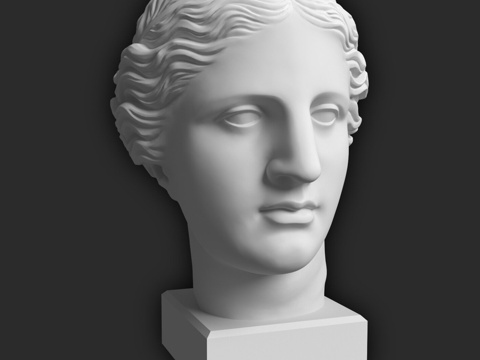  迪卡特维纳斯头像 384x241x316mm3d模型 