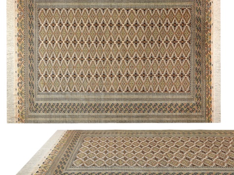  OM地毯 DOVLET HOUSE (art 1496)3d模型 