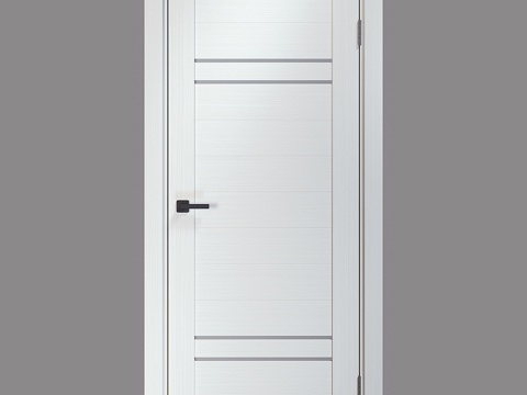  CARDA T-17款室内门 漂白落叶松3d模型 