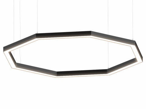  OM 悬挂式八边形轮廓灯 OCTAGON3d模型 