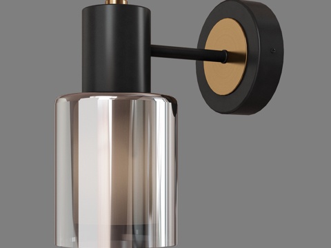  OM玻璃灯罩壁灯 Eurosvet 70219 1 No款3d模型 