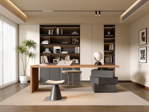  现代书房 书柜 书桌椅 绿植盆栽su模型 