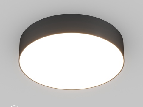  OM灯具SP-FLOWER-R280-15W3d模型 